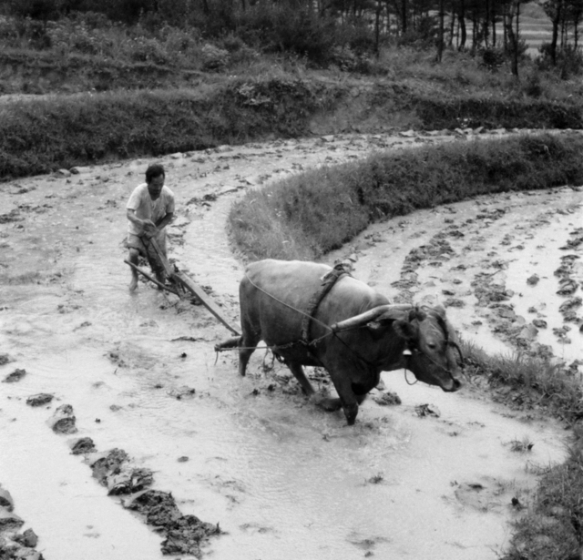 동신대, 개교30주년기념 기록사진전 '1974 백동마을 사계' 개최 기사의 사진