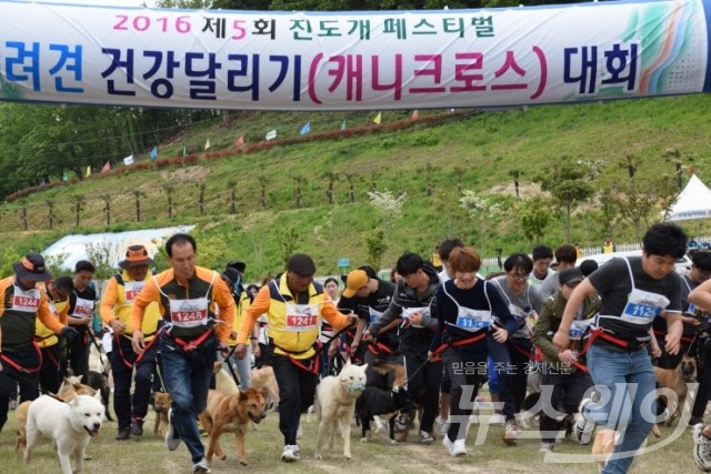 진도개 페스티벌 5월 6일 개막···"진도개 우수성 직접 체험하세요"