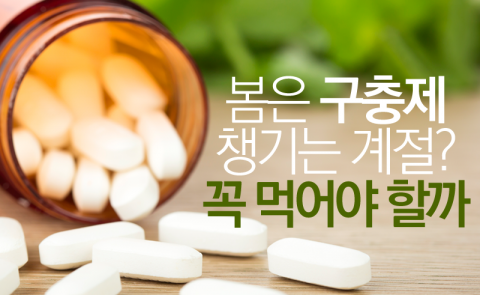  봄은 구충제 챙기는 계절? 꼭 먹어야 할까