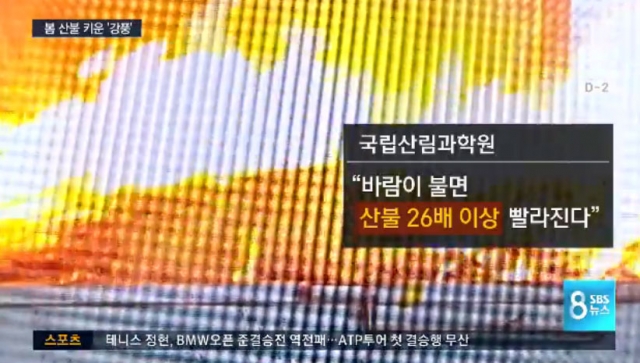 강릉 산불 재발화. 사진=SBS 뉴스 캡쳐