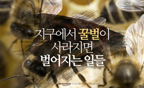  지구에서 꿀벌이 사라지면 벌어지는 일들
