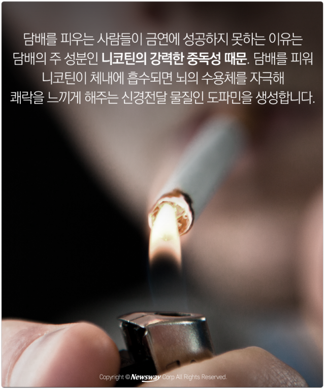  담배, 참을 수 없는 ‘악마의 유혹’ 기사의 사진