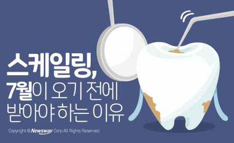  스케일링, 7월이 오기 전에 받아야 하는 이유