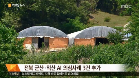 군산·익산서 AI 추가 발생···오리도 감염