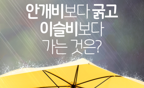  안개비보다 굵고 이슬비보다 가는 것은?