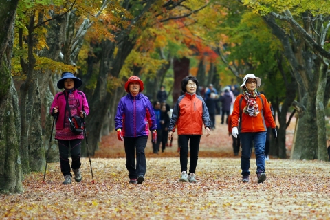 정읍시, 볼거리·놀거리·먹거리 등 매력적인 관광콘텐츠 구축 ‘박차’