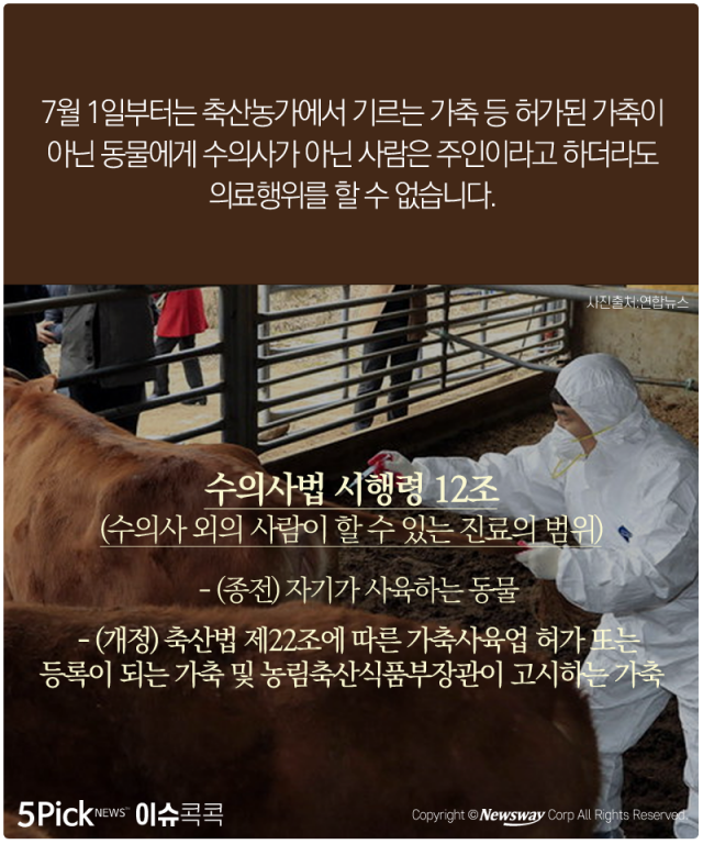  강아지 공장, 불법 의료행위 그만! 기사의 사진