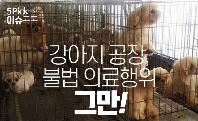  강아지 공장, 불법 의료행위 그만!
