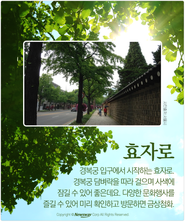  여름에도 걷기 좋은 서울 도심 거리 기사의 사진
