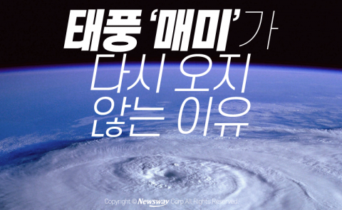  태풍 ‘매미’가 다시 오지 않는 이유