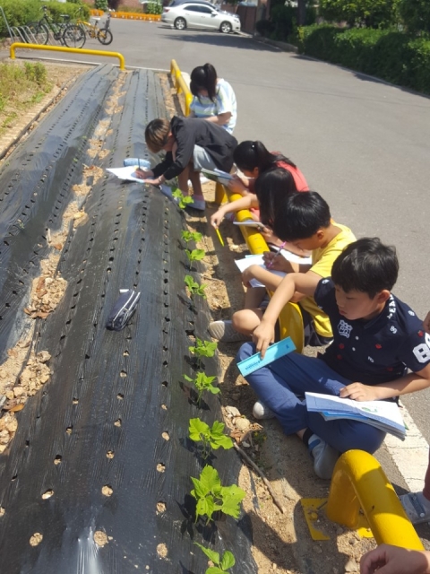 “학교에서 키워 먹는 상추쌈이 너무 맛있어요!”