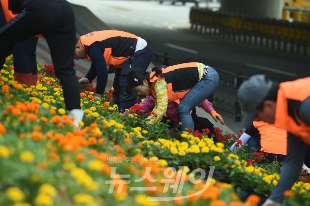 장성군 사회단체 회원들이 꽃 식재 작업에 참여하고 있다.(사진=장성군)