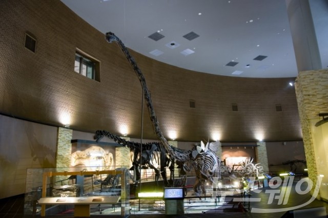 해남공룡박물관 시대별공룡실