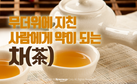 무더위에 지친 사람에게 약이 되는 차(茶)