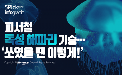 피서철 독성 해파리 기승···‘쏘였을 땐 이렇게!’
