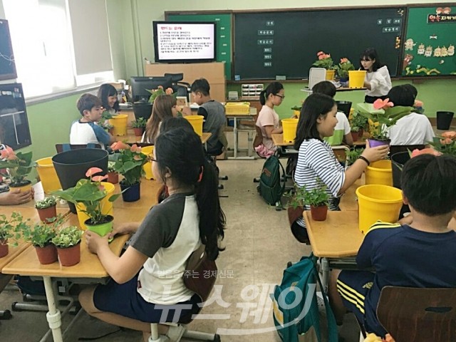 장성구 사창초등학교에서 진행된 원예체험 교실(사진=장성군)
