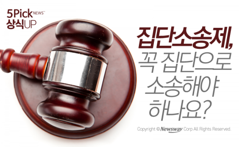  집단소송제, 꼭 집단으로 해야 하나요?