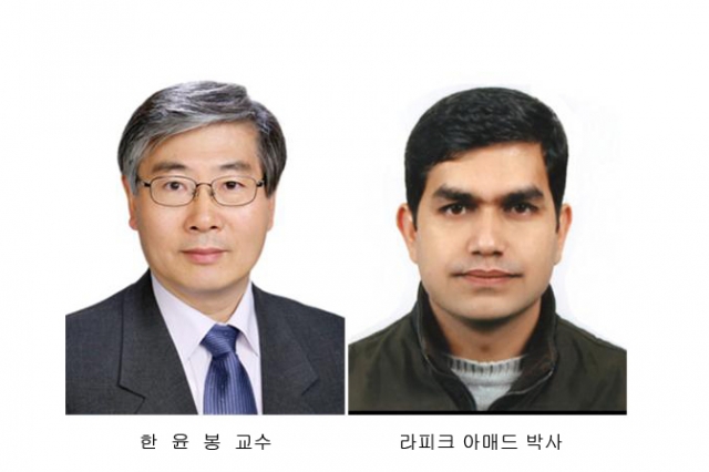 전북대 한윤봉 교수팀, 혈당 측정용 나노바이오센서 개발