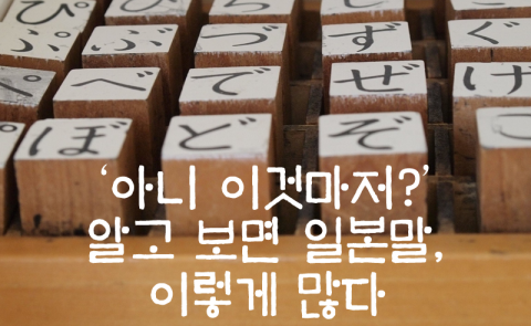  ‘아니 이것마저?’ 알고 보면 일본말, 이렇게 많다
