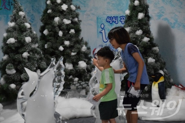 2017무안연꽃축제, "비 오니 운치 더 있네!" 기사의 사진