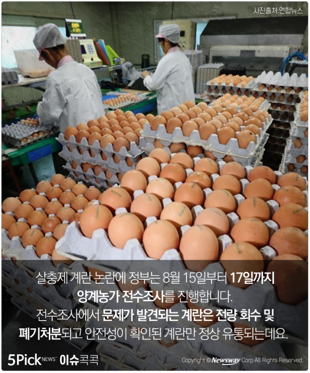  살충제 계란 파문···‘피프로닐, 비펜트린’이란? 기사의 사진