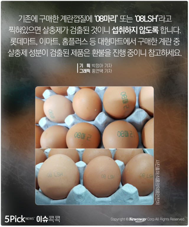  살충제 계란 파문···‘피프로닐, 비펜트린’이란? 기사의 사진