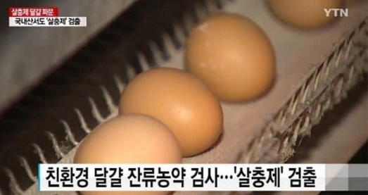 축산물품질평가원 홈페이지, ‘살충제 계란 번호’ 입력 즉시 확인 사실에 접속자 폭주