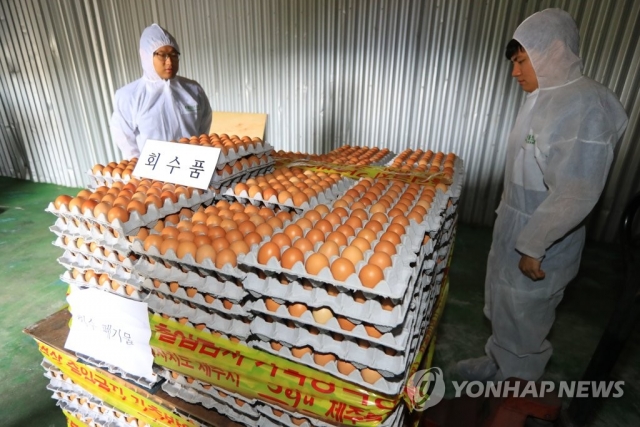 폐기 예정인 살충제 검출 계란 (사진 = 연합뉴스 제공)