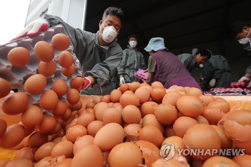 살충제 계란을 폐기하는 모습 (사진 = 연합뉴스 제공)