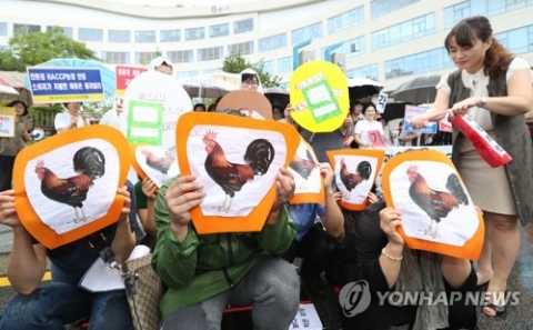 국민 2명 중 1명, ‘살충제 파동’ 이후 계란 먹기 꺼려