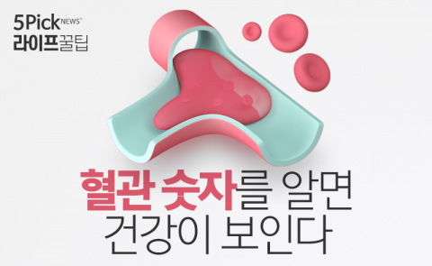  혈관 숫자를 알면 건강이 보인다