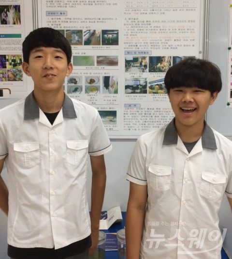 고흥도화중학교 과학 상설동아리 ‘과학아 도화줘’ 팀원(고흥도화중학교 제공)
