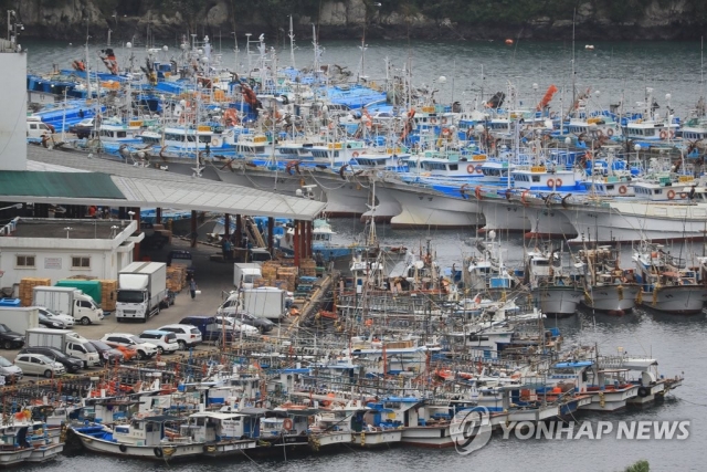 태풍 탈림을 피해 온 어선들 (사진 = 연합뉴스 제공)