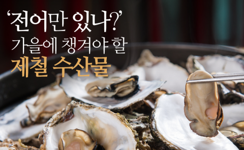 ‘전어만 있나?’ 가을에 챙겨야 할 제철 수산물