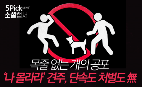  목줄 없는 개의 공포···단속도 처벌도 없다