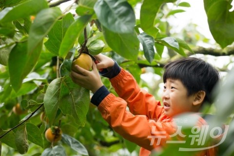 국제농업박람회, &quot;농작물 수확체험 하러 오세요&quot;