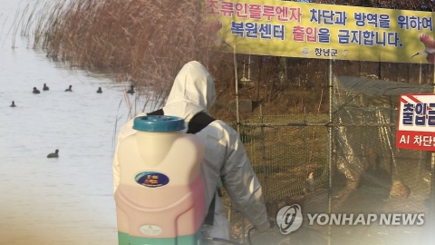 경북 영천 지역 야생조류 분변서 AI 바이러스 검출