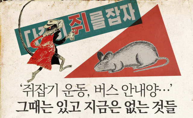 쥐 꼬리 하나당 연필 한 자루···그때 그 시절