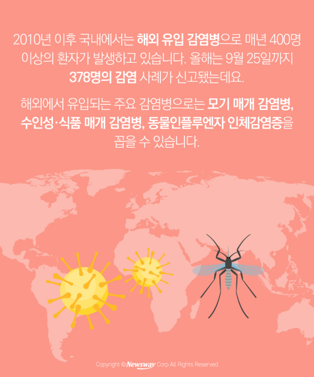  ‘한국 모기보다 더 무섭다’ 해외 모기를 피하는 법 기사의 사진