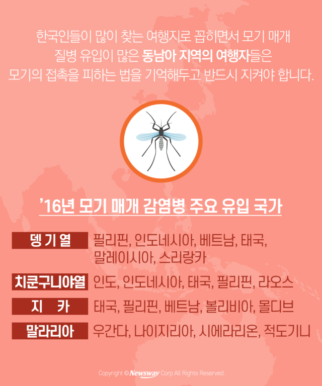  ‘한국 모기보다 더 무섭다’ 해외 모기를 피하는 법 기사의 사진