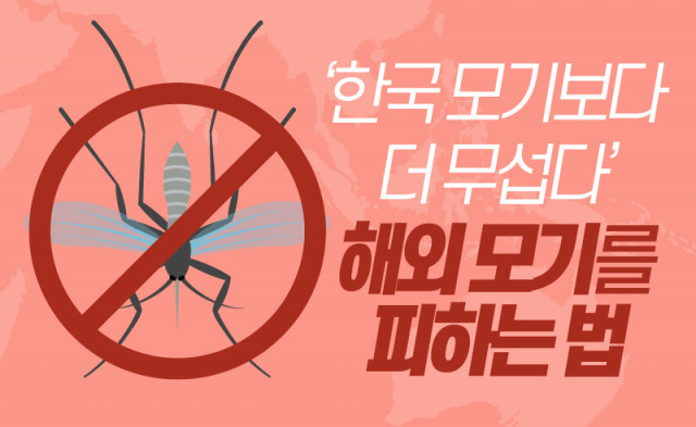  ‘한국 모기보다 더 무섭다’ 해외 모기를 피하는 법