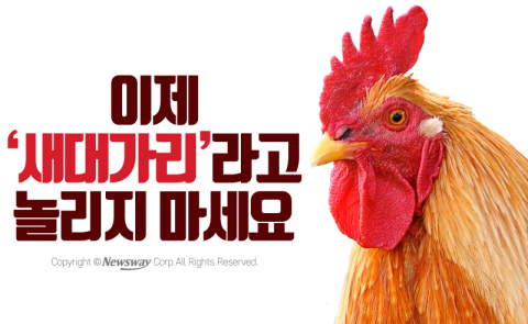 이제 ‘새대가리’라고 놀리지 마세요