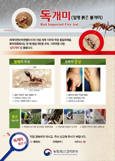 붉은 독개미 경고 포스터. 사진=농림축산검역본부 제공