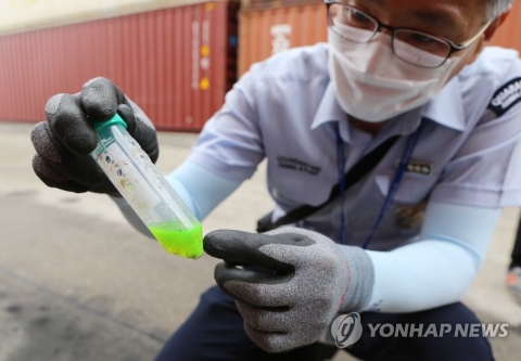 부산항 외래 붉은불개미 조사 완료···“추가 발견 없어”
