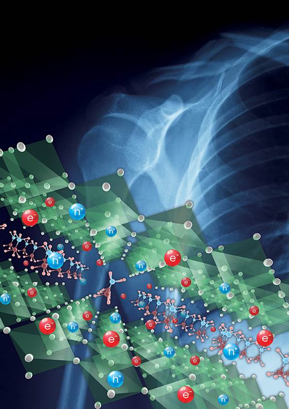 페로브스카이트 X-ray 디텍터 연구 그래픽. 사진=삼성전자 제공.