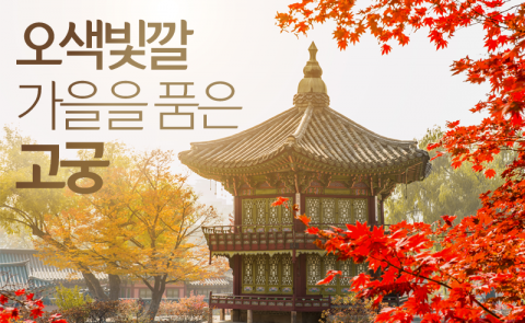  오색빛깔 가을을 품은 고궁