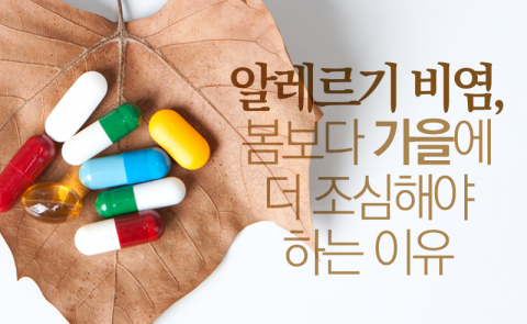  알레르기 비염, 봄보다 가을에 더 조심해야 하는 이유