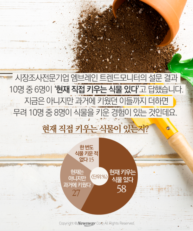  동물만 있나···‘반려식물’ 키우면 좋은 점들 기사의 사진