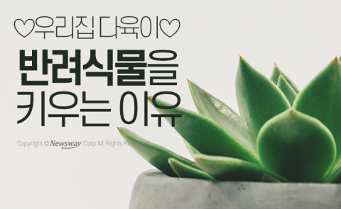  동물만 있나···‘반려식물’ 키우면 좋은 점들
