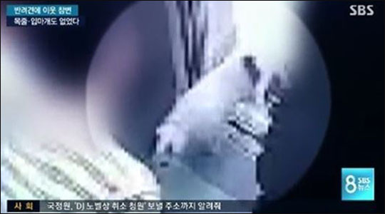 사고 당시 CCTV 화면. 사진=SBS뉴스 캡처